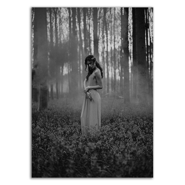 HomeRoots Girl In The Woods On Canvas Print Wayfair